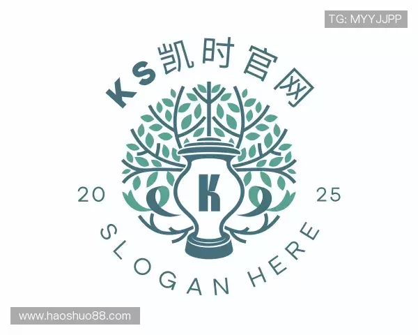 介绍ks凯时官网